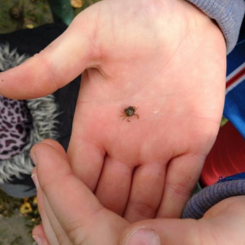 image4 (1)